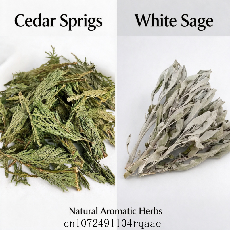 Daun Sage Putih Kering & Daun  - Dried Herbs ulasan dan harga
