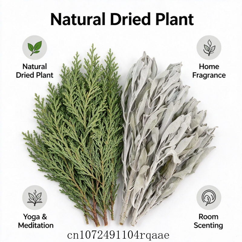 Daun Sage Putih Kering & Daun  - Dried Herbs ulasan dan harga