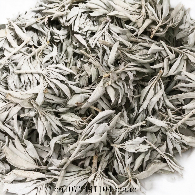 Daun Sage Putih Kering & Daun  - Dried Herbs ulasan dan harga