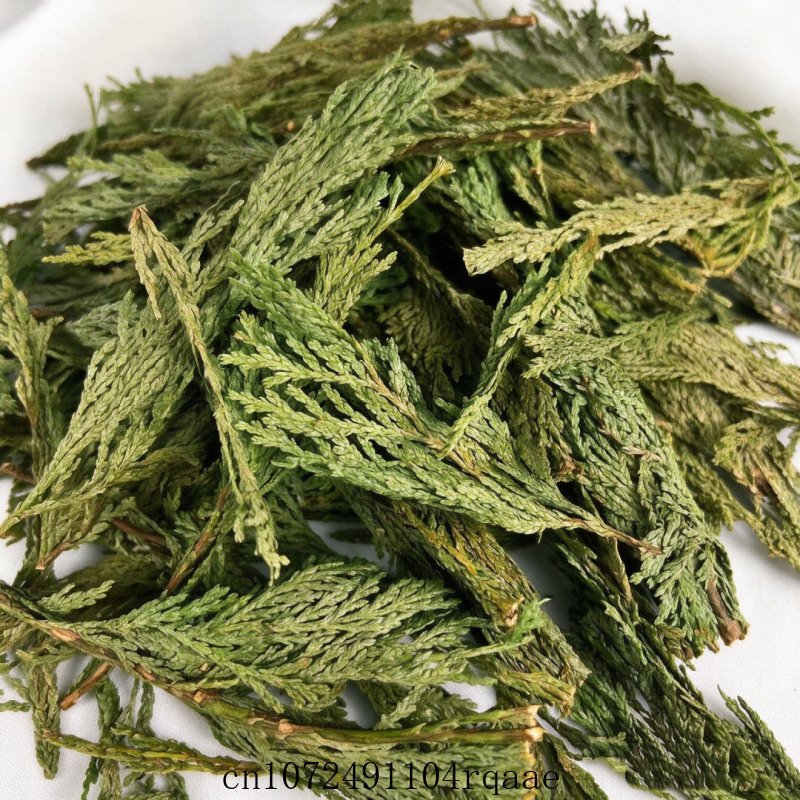 Daun Sage Putih Kering & Daun  - Dried Herbs ulasan dan harga