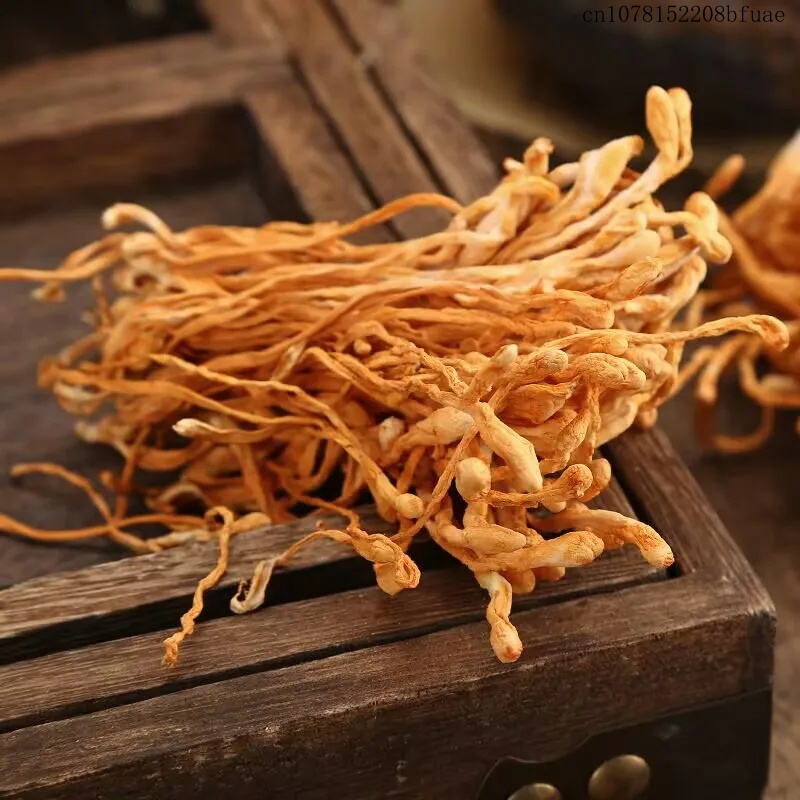 250g/500g Bunga Cordyceps Keri - Dried Herbs ulasan dan harga