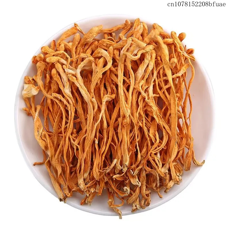 250g/500g Bunga Cordyceps Keri - Dried Herbs ulasan dan harga